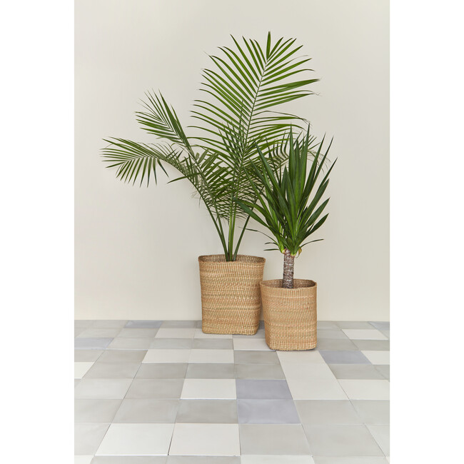 Woven Grass Tall Basket, Natural - Storage - 2