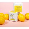 Fortune Surprise Soap, 3 Pack - Body Cleansers & Soaps - 5