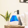 4 in 1 Top Fill 1 Gallon Cool Mist Humidifier Sound Machine, Blue & White - Humidifiers - 7 - thumbnail