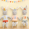 3rd Year Birthday Medium Bunny Doll - Dolls - 2 - thumbnail