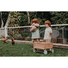 Wonder Wagon, Rose - Storage - 6
