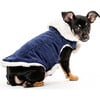 Modern Classic Coat, Navy Corduroy - Dog Clothes - 2