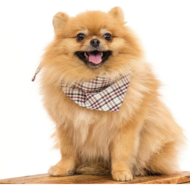 Holiday Neckwear, Classic Plaid - Dog Bandanas & Neckties - 2