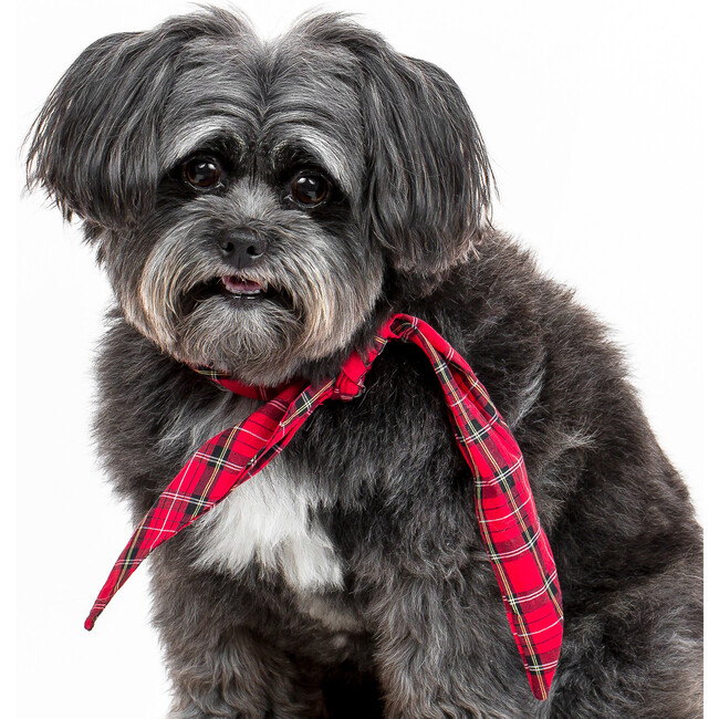 Holiday Necktie, Red Plaid