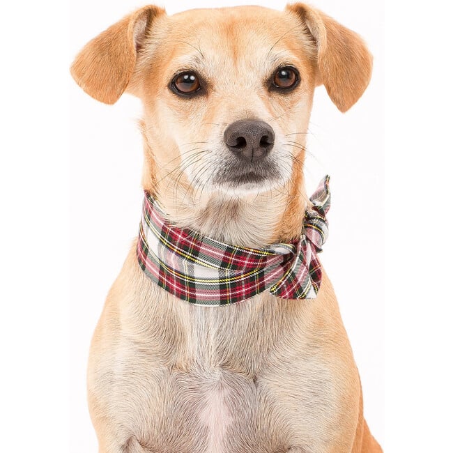 Holiday Necktie, Vintage Plaid - Dog Bandanas & Neckties - 2