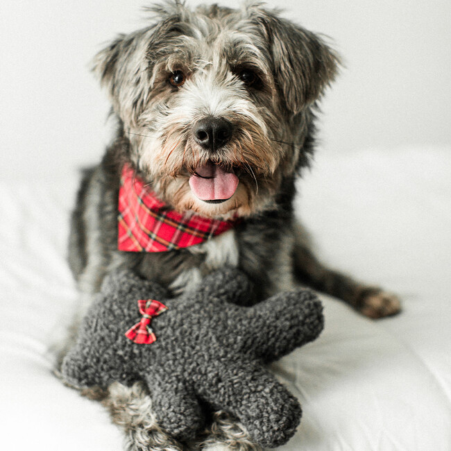 Holiday Lavender Bedtime Bear, Red Plaid and Charcoal
