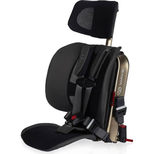 Pico Car Seat, Earth - Car Seat Accessories - 1
