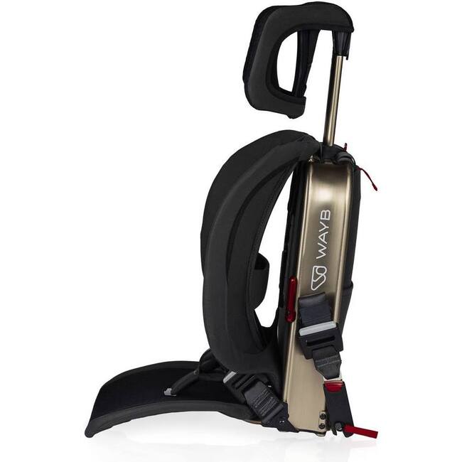 Pico Car Seat, Earth - Car Seat Accessories - 2