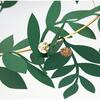 Festive Foliage Chandelier - Decorations - 3