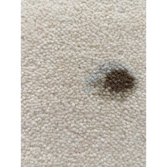 Bear Rug, Natural - Rugs - 3