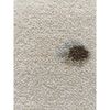 Bear Rug, Natural - Rugs - 3