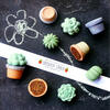 TWEE Handmade Sidewalk Chalk Maya & Siona's Succulents - Arts & Crafts - 2 - thumbnail