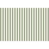 Green Ribbon Striped Placemat - Party - 1 - thumbnail