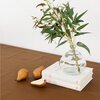 Tablecloth, Teak - Tableware - 3