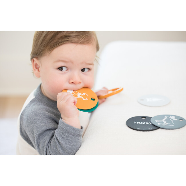Forrest Friends Teething Flashcards