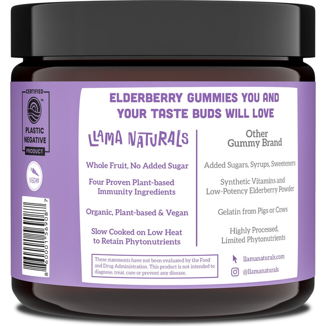 Adult Whole Fruit Elderberry Gummies, Elderberry - Supplements & Vitamins - 3