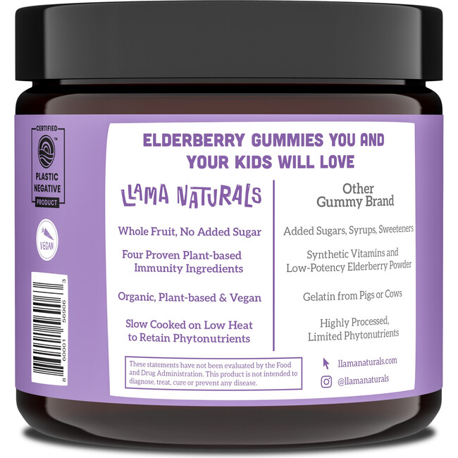 Kids Whole Fruit Elderberry Gummies, Elderberry - Supplements & Vitamins - 3