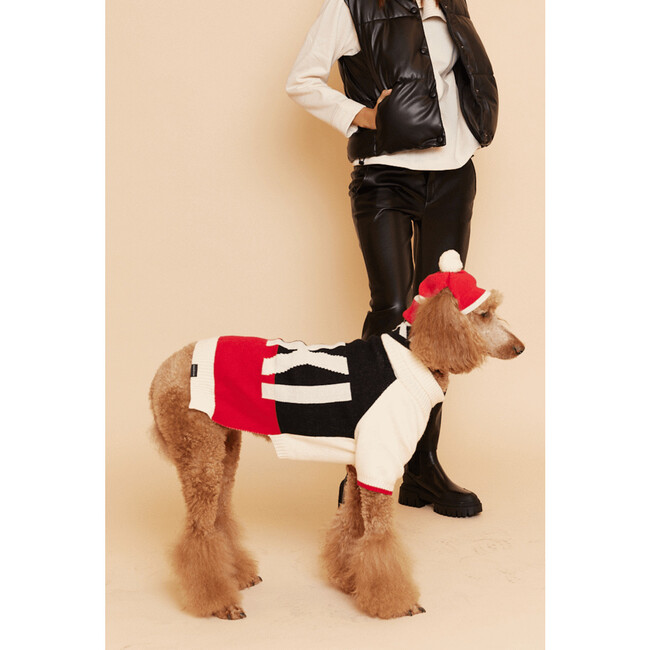 Ski Raglan Sleeve Jumper - Dog Clothes - 3