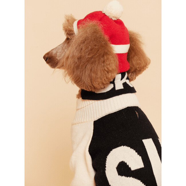 Ski Balaclava, Multi - Dog Clothes - 3