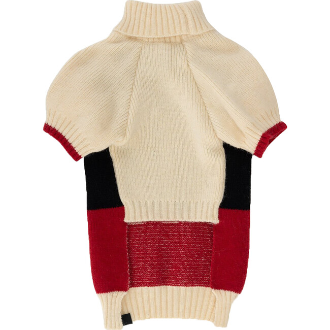 Ski Raglan Sleeve Jumper - Dog Clothes - 4