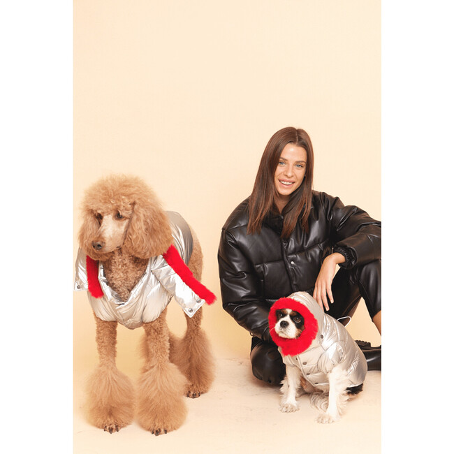 Alpine Puffer, Silver - Dog Clothes - 5