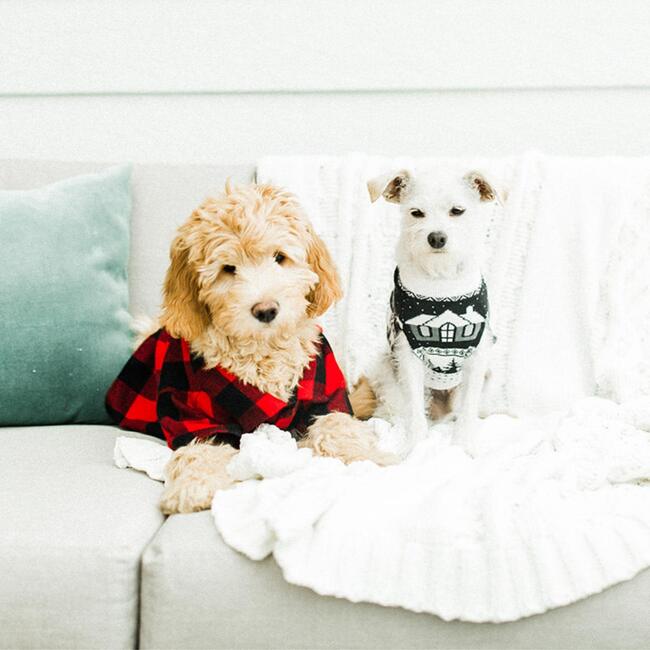 Dog Cabin Sweater - Dog Clothes - 3