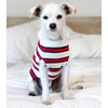Dog Rugby Sweater - Dog Clothes - 2