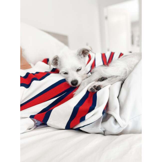 Dog Rugby Sweater - Dog Clothes - 5