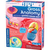 Gross Anatomy: Make-Your-Own-Squishy Human Body - STEM Toys - 1 - thumbnail