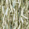 Leaf Ribbon Backdrop - Party - 3