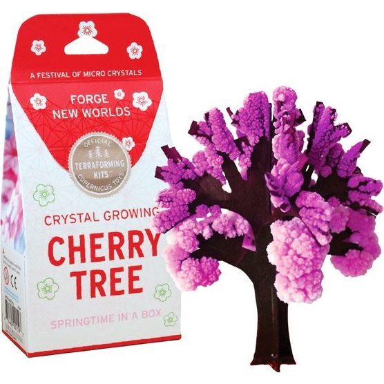 Crystal Growing Cherry Tree - Arts & Crafts - 1