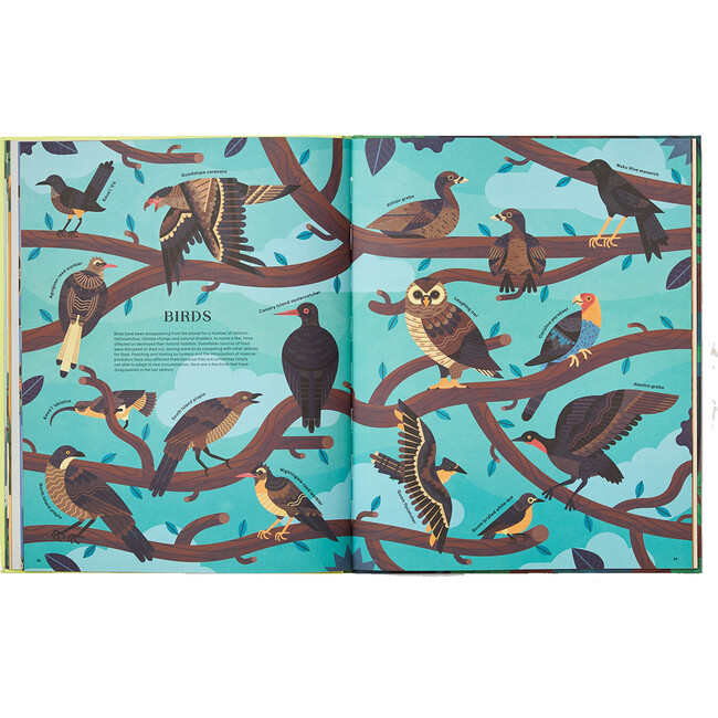 Extinct: An Illustrated Exploration of Animals That Have Disappeared - Books - 2