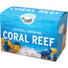 Crystal Growing Coral Reef - Play Kits - 2