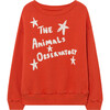 Bear Sweatshirt Red, White The Animals Stars - Sweatshirts - 1 - thumbnail