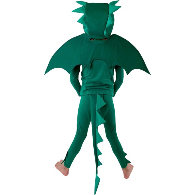 Dragon Costume, Green