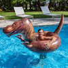 T-Rex Dinosaur 42" Pool Tube - Pool Floats - 3