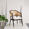 Rogue Rattan Accent Chair, Black - Accent Seating - 2