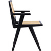 Set of 2 Hattie French Cane Arm Chair, Black - Accent Seating - 5