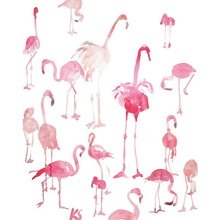 Flamingos, Pink - Art - 1