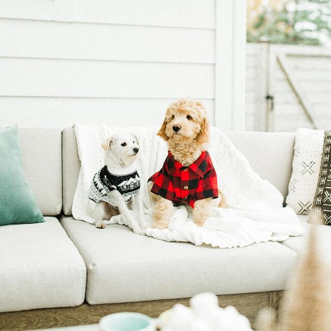 Dog Great Plains Flannel - Dog Clothes - 3