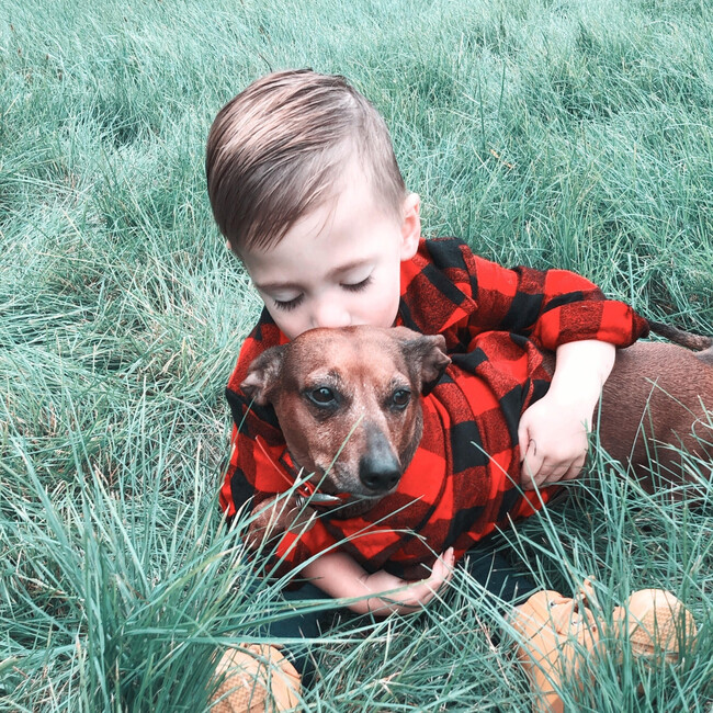 Dog Great Plains Flannel - Dog Clothes - 5