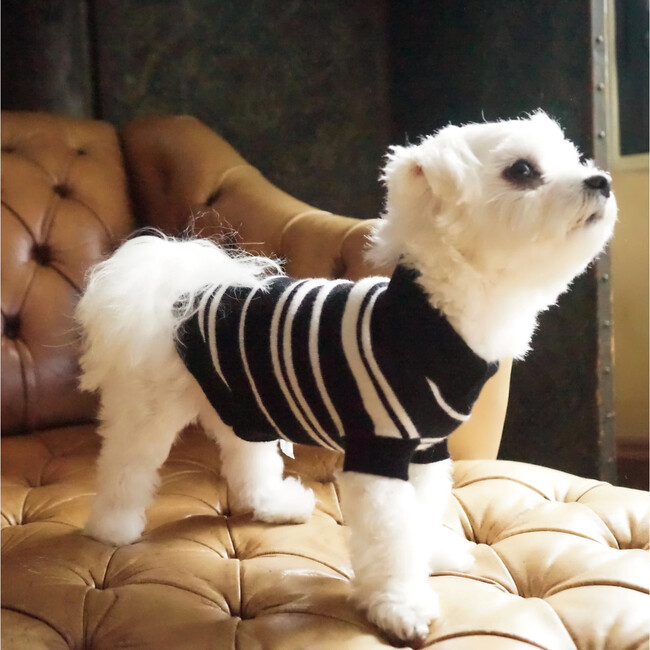 The Lupo Sweater, Black and White - Dog Clothes - 2