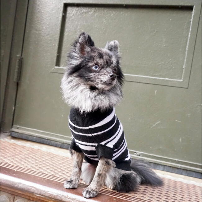 The Lupo Sweater, Black and White - Dog Clothes - 3