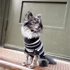 The Lupo Sweater, Black and White - Dog Clothes - 3 - thumbnail