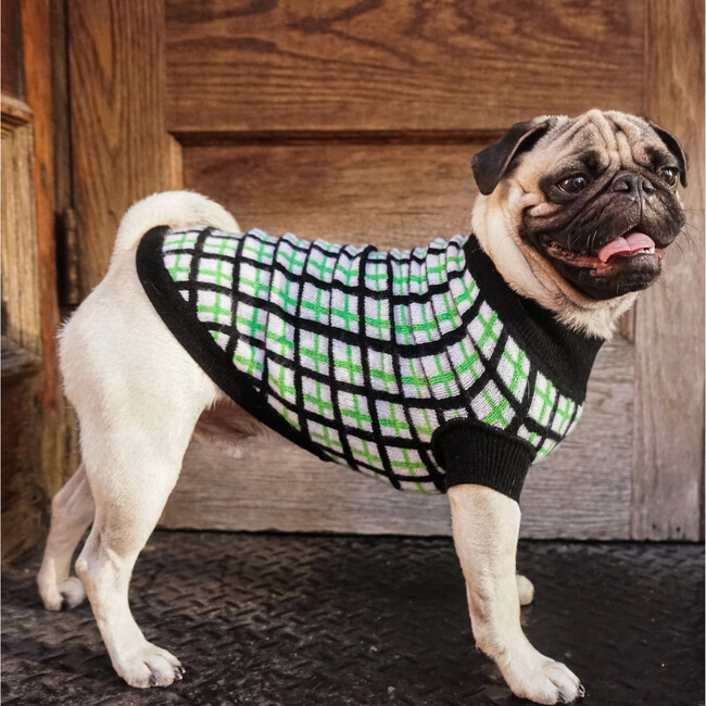 The Stella Sweater, Black and Green - Dog Clothes - 3