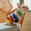 The Lupo Sweater, Multi Stripe - Dog Clothes - 2 - thumbnail