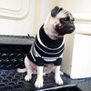 The Lupo Sweater, Black and White - Dog Clothes - 4