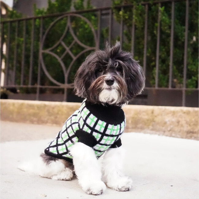 The Stella Sweater, Black and Green - Dog Clothes - 4