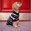 The Lupo Sweater, Black and White - Dog Clothes - 5