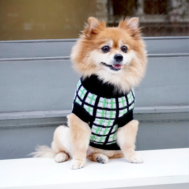 The Stella Sweater, Black and Green - Dog Clothes - 5